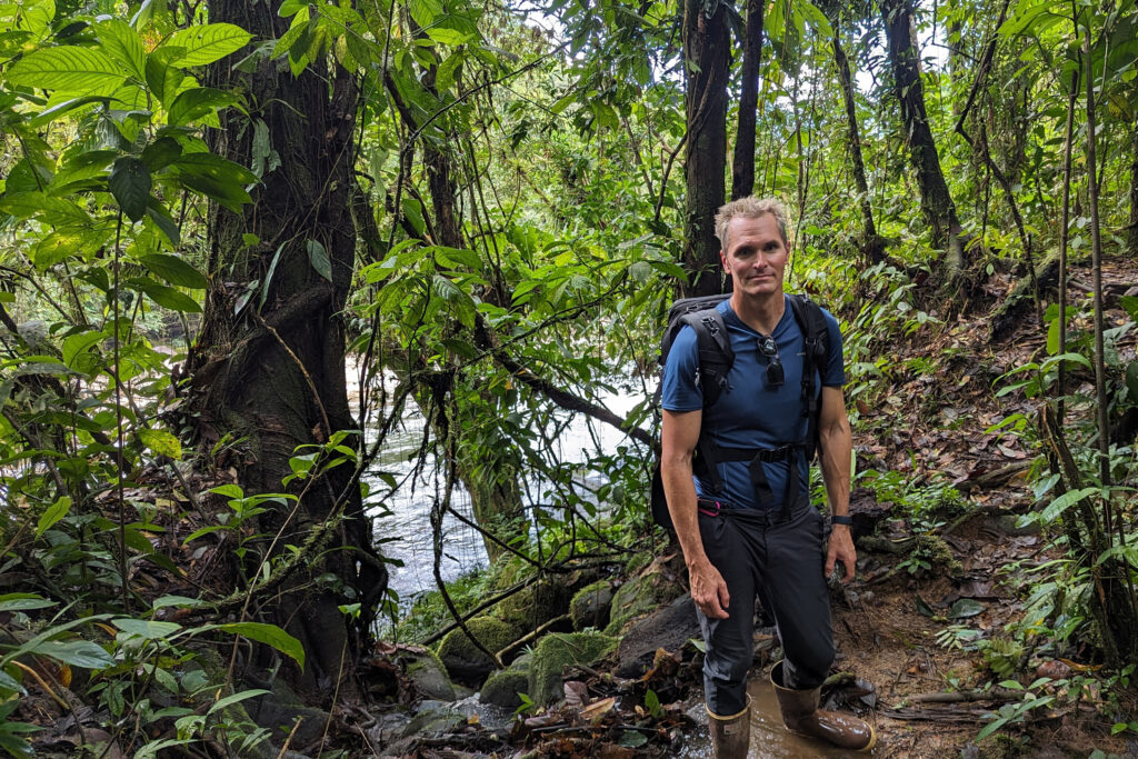 Rhett Butler in the Amazon rainforest